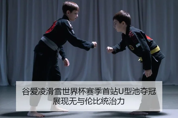 gu-ai-ling-hua-xue-shi-jie-bei-sai-ji-shou-zhan-xing-chi-duo-guan-zhan-xian-wu-yu-lun-bi-tong-zhi-li-2-582.jpg