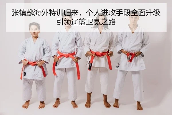 zhang-zhen-lin-hai-wai-te-xun-gui-lai-ge-ren-jin-gong-shou-duan-quan-mian-sheng-ji-yin-ling-liao-lan-wei-mian-zhi-lu-2-729.jpg