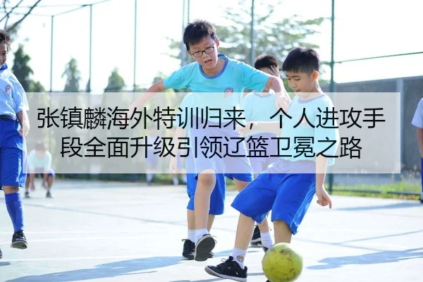张镇麟海外特训归来，个人进攻手段全面升级引领辽篮卫冕之路
